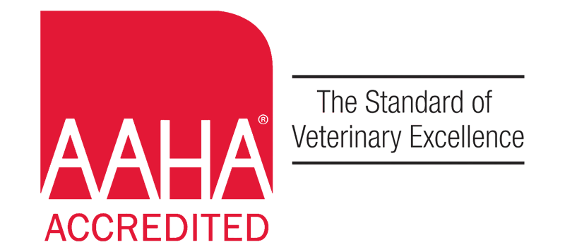 AAHA Accredited
